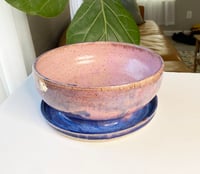 Image 2 of Purple Haze Planter Presale