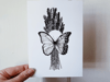 Butterfly Print