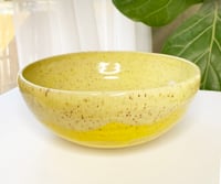 Image 1 of Daylight Bowl