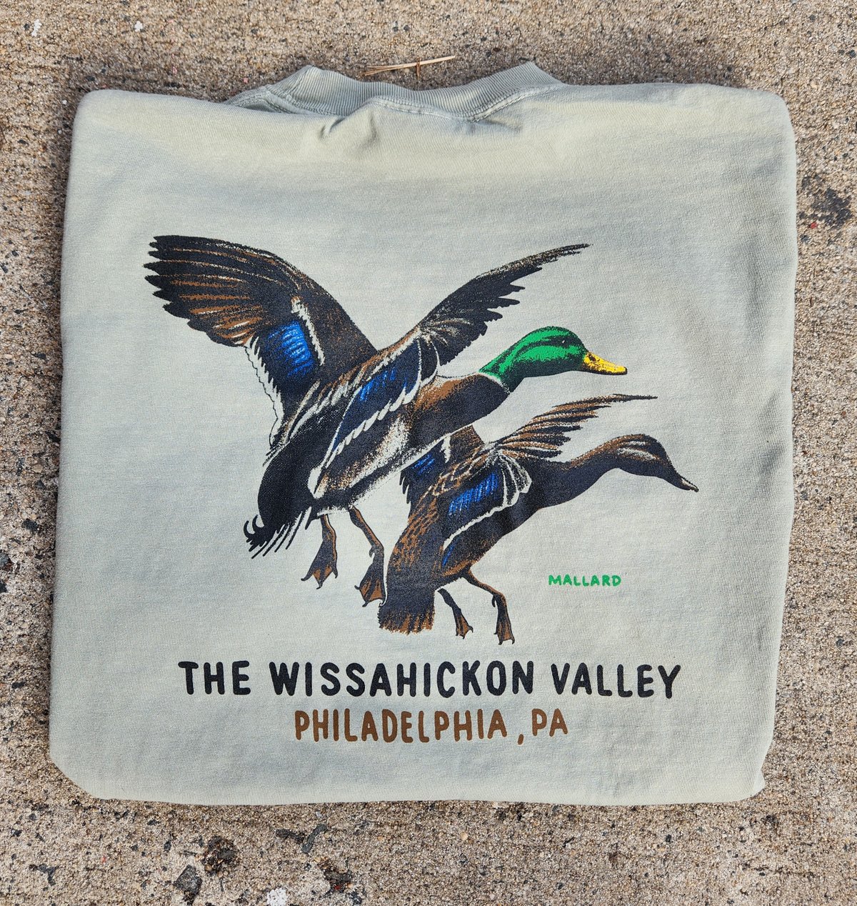 Image of Wissahickon Mallard