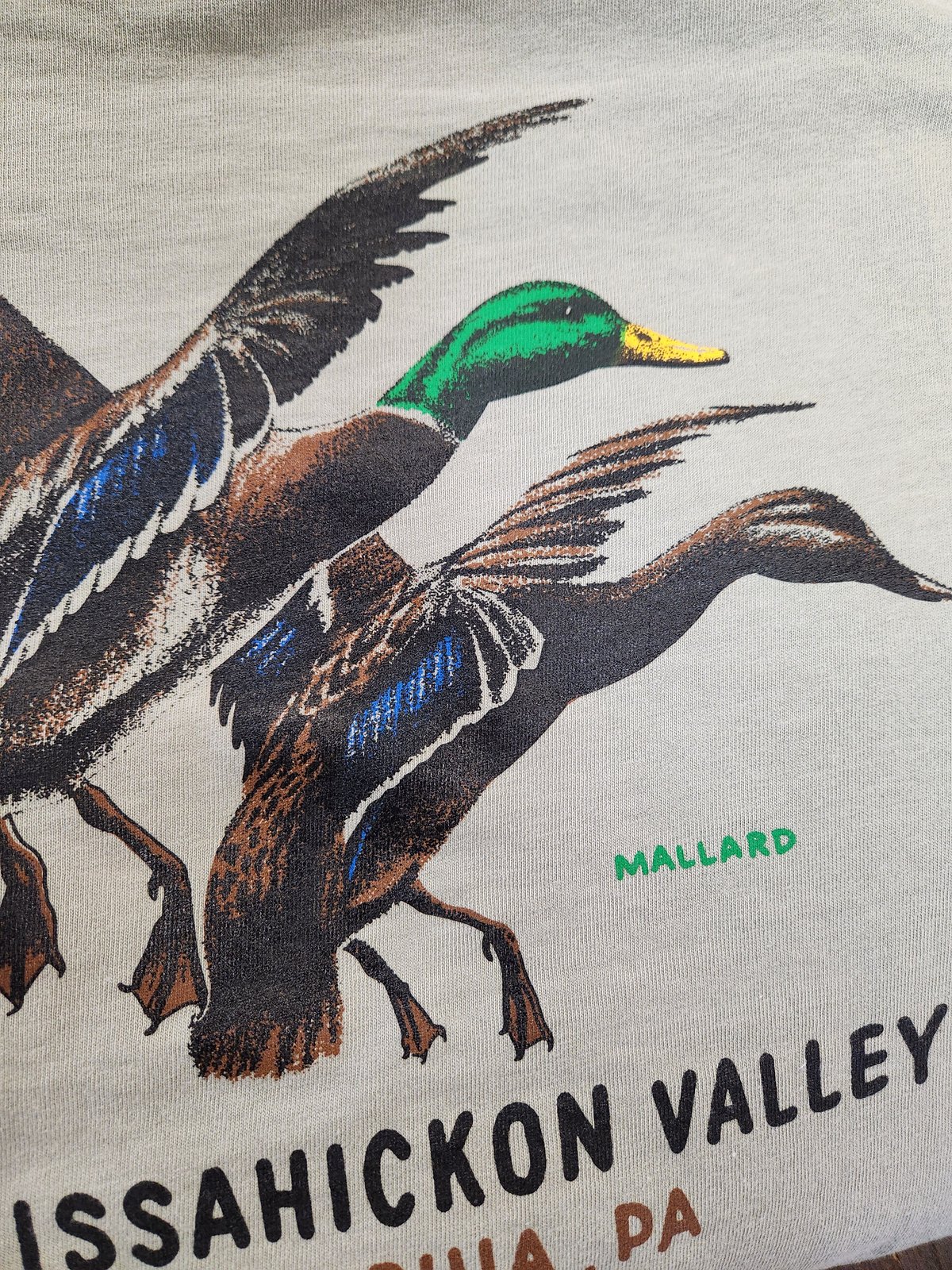 Image of Wissahickon Mallard