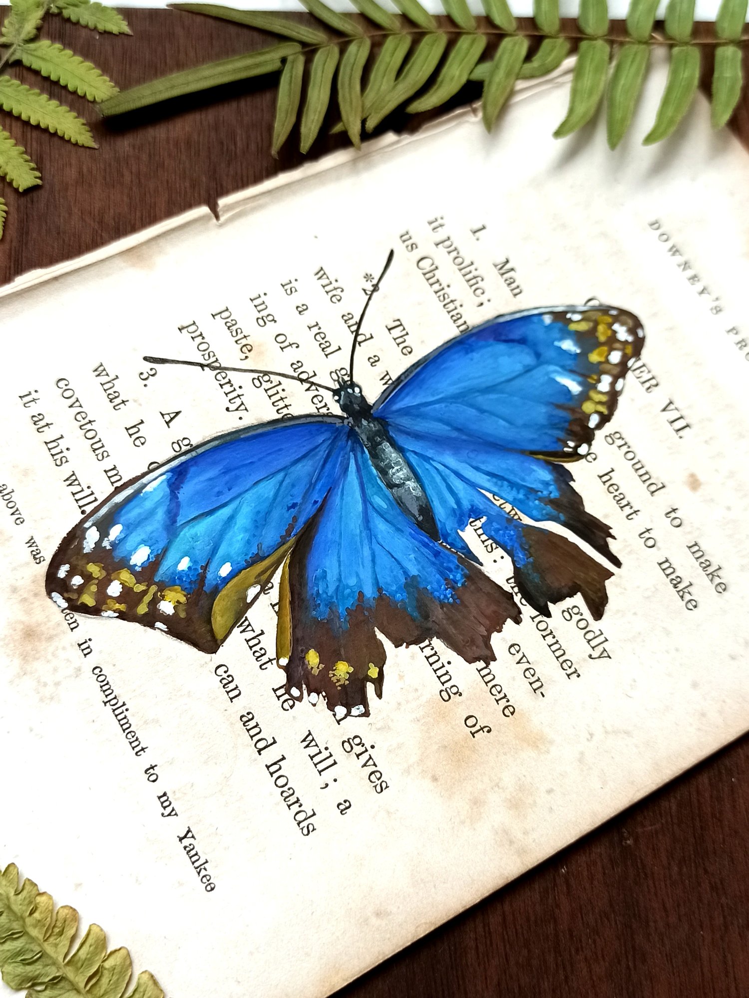 Image of Life in Old Pages Collection Insect n. 28 Morpho Butterfly 