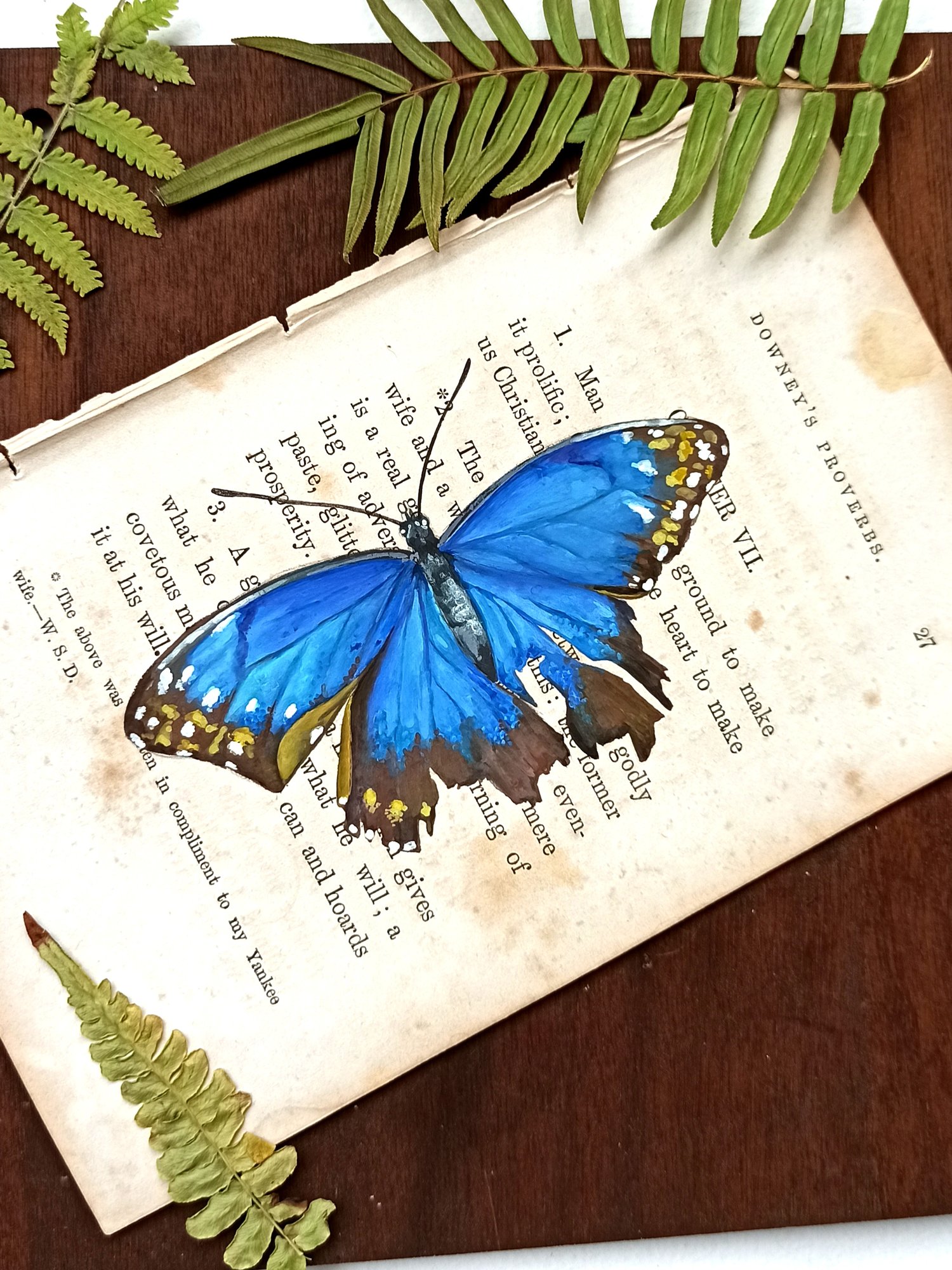 Image of Life in Old Pages Collection Insect n. 28 Morpho Butterfly 