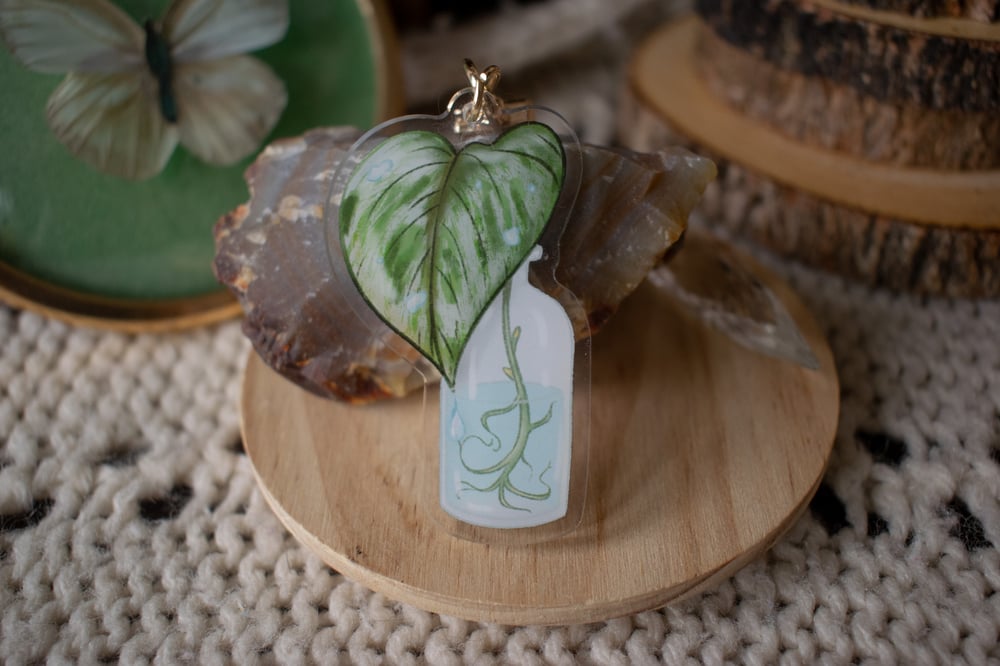 Image of Marble Queen Pothos Propegation Keychain
