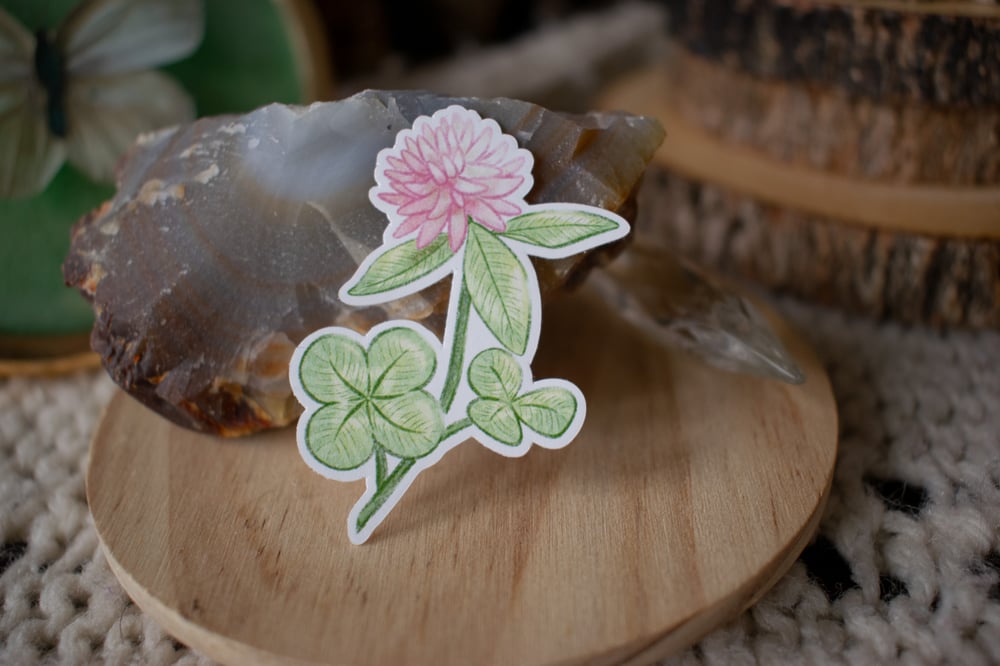 Image of Clover Sticker