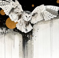Image 1 of ORIGINAL - Swoop