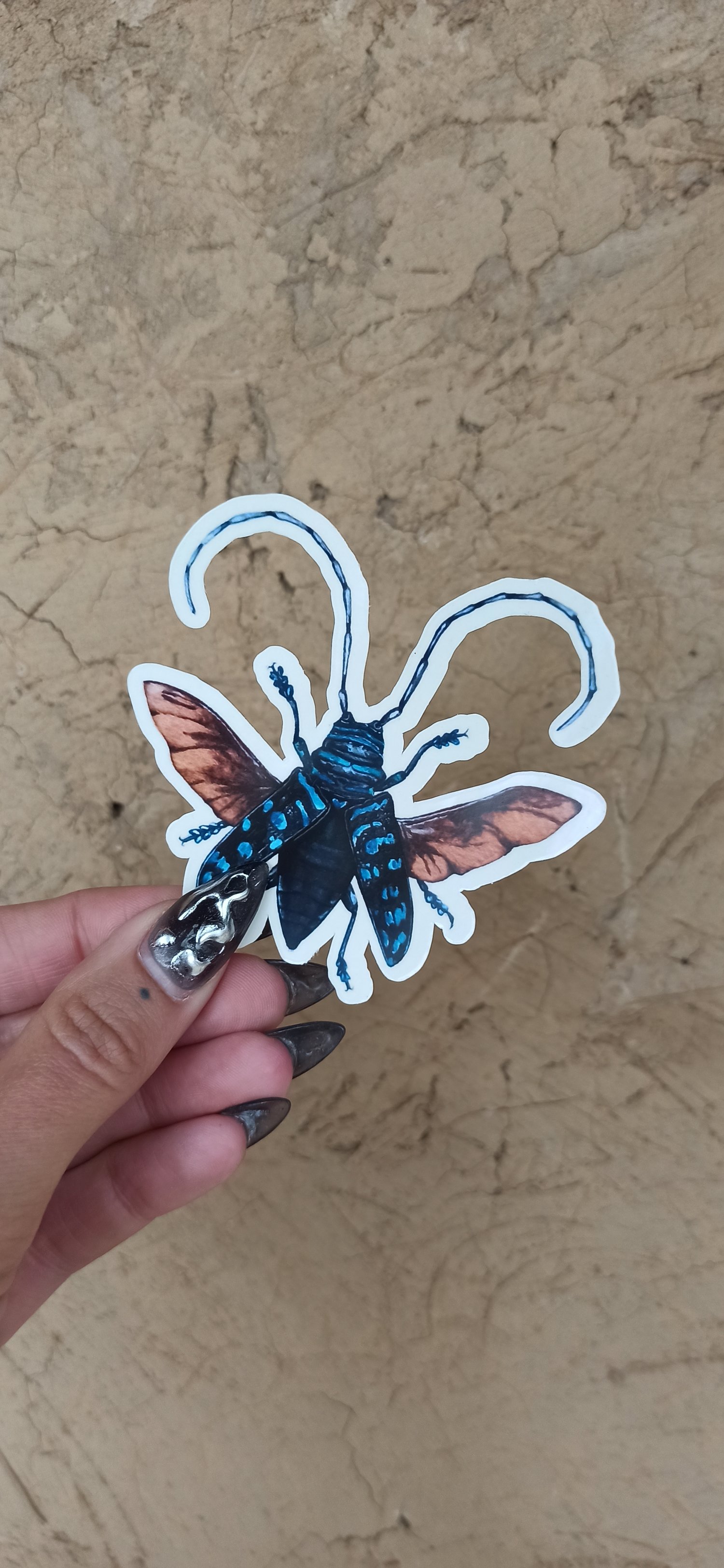 Image of Longhorn Beetle Sticker Set 