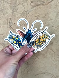 Image 1 of Longhorn Beetle Sticker Set 