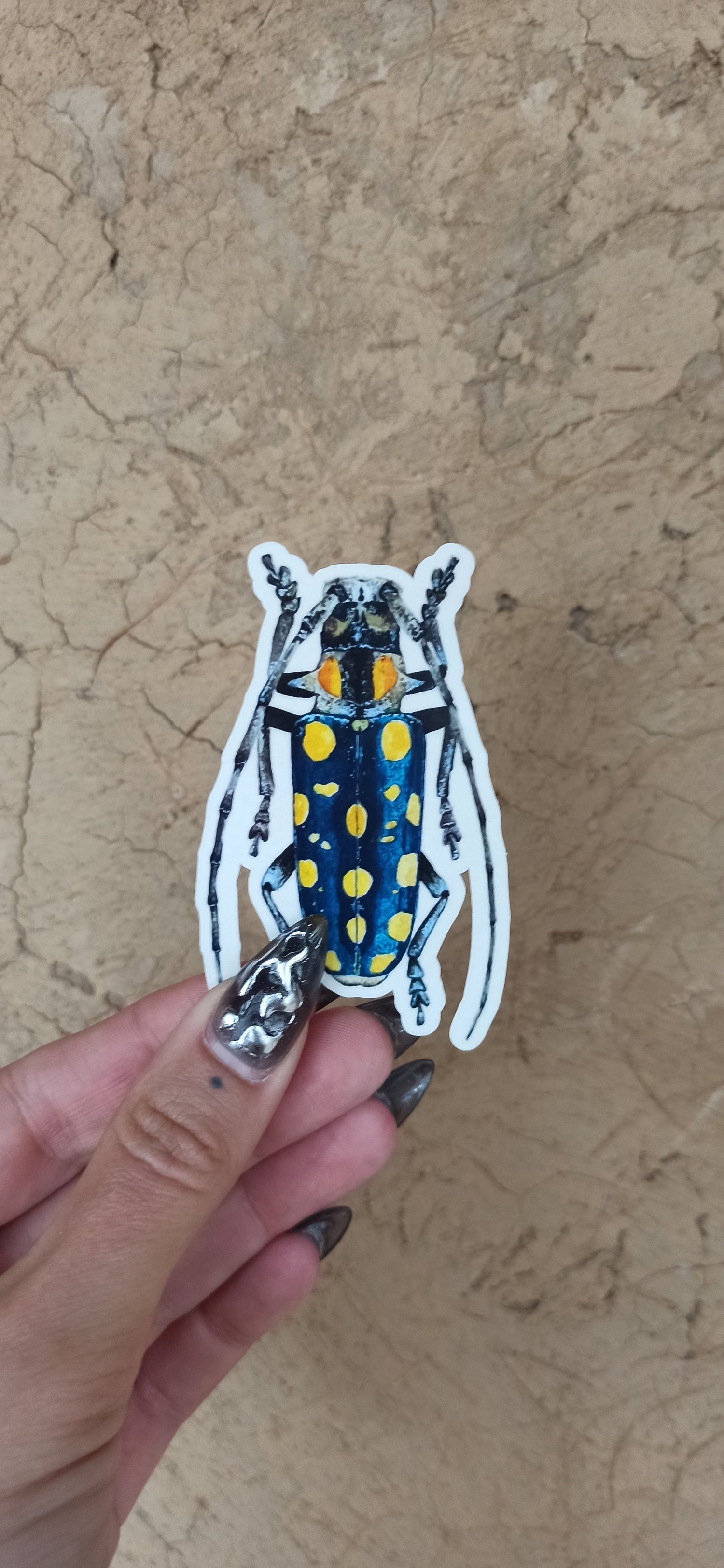 Image of Longhorn Beetle Sticker Set 