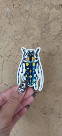 Image 3 of Longhorn Beetle Sticker Set 