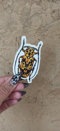 Image 4 of Longhorn Beetle Sticker Set 