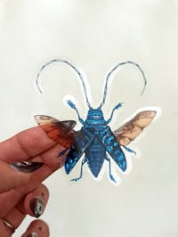 Image 5 of Longhorn Beetle Sticker Set 