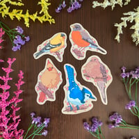 Image 2 of Backyard Bird Sticker Pack