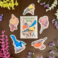 Image 1 of Backyard Bird Sticker Pack
