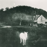 Image 2 of Garage Sale - Stars Fall 2 Cassette