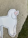 Poodle sticker 