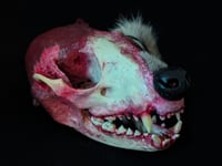 Image 2 of Zombie Raccoon Art Piece *FAKE GORE*