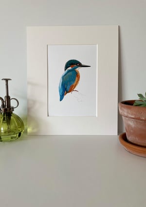 Image of Kingfisher