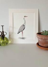 Image 2 of Grey Heron