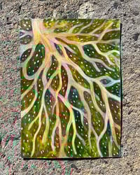 Image 1 of How Far Do These Roots Go?