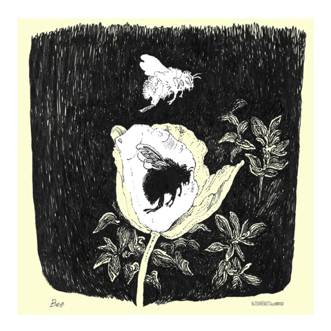 Image of Bee