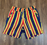 Multi Mesh Shorts