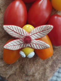 Image 3 of LORNA SUPERMOTH