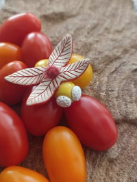 Image 1 of LORNA SUPERMOTH