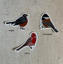 Image 2 of Birds Sticker Set