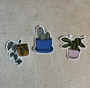 Image 1 of House Plant Sticker Set