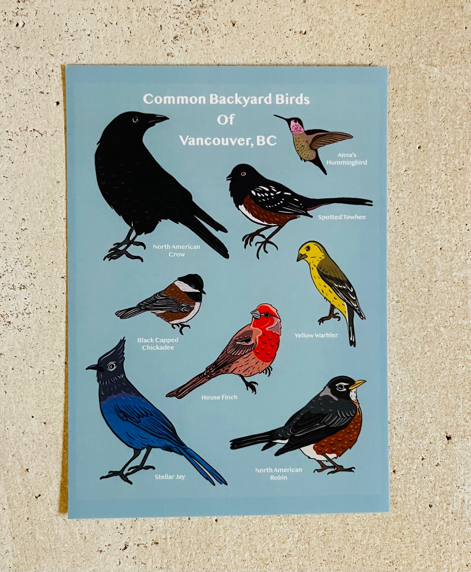 Image of Backyard Birds Ilustrated Print