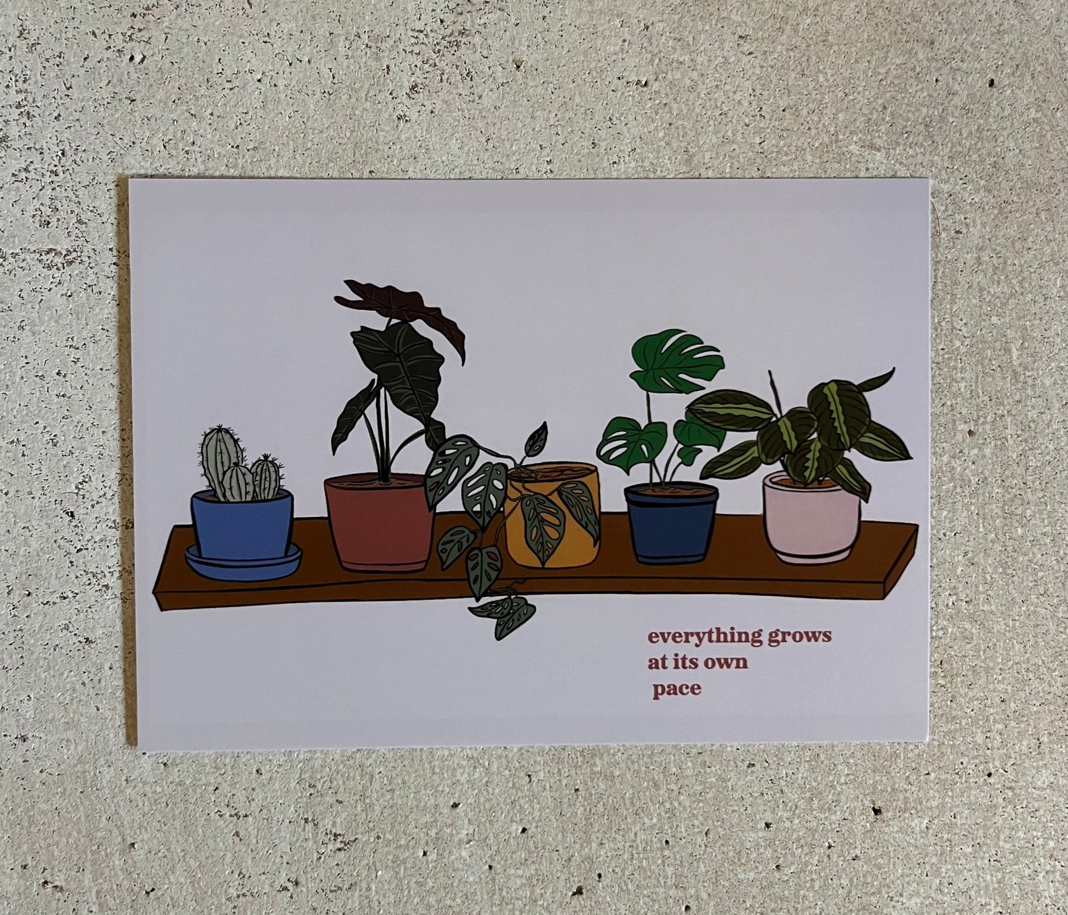 Image of Plant Shelf Illustratred Print