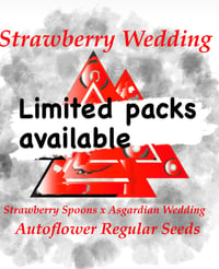 Strawberry Wedding 