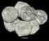 Potosi Mint: 1697 "CH" 1 Real Spanish Treasure Cob  Image 2