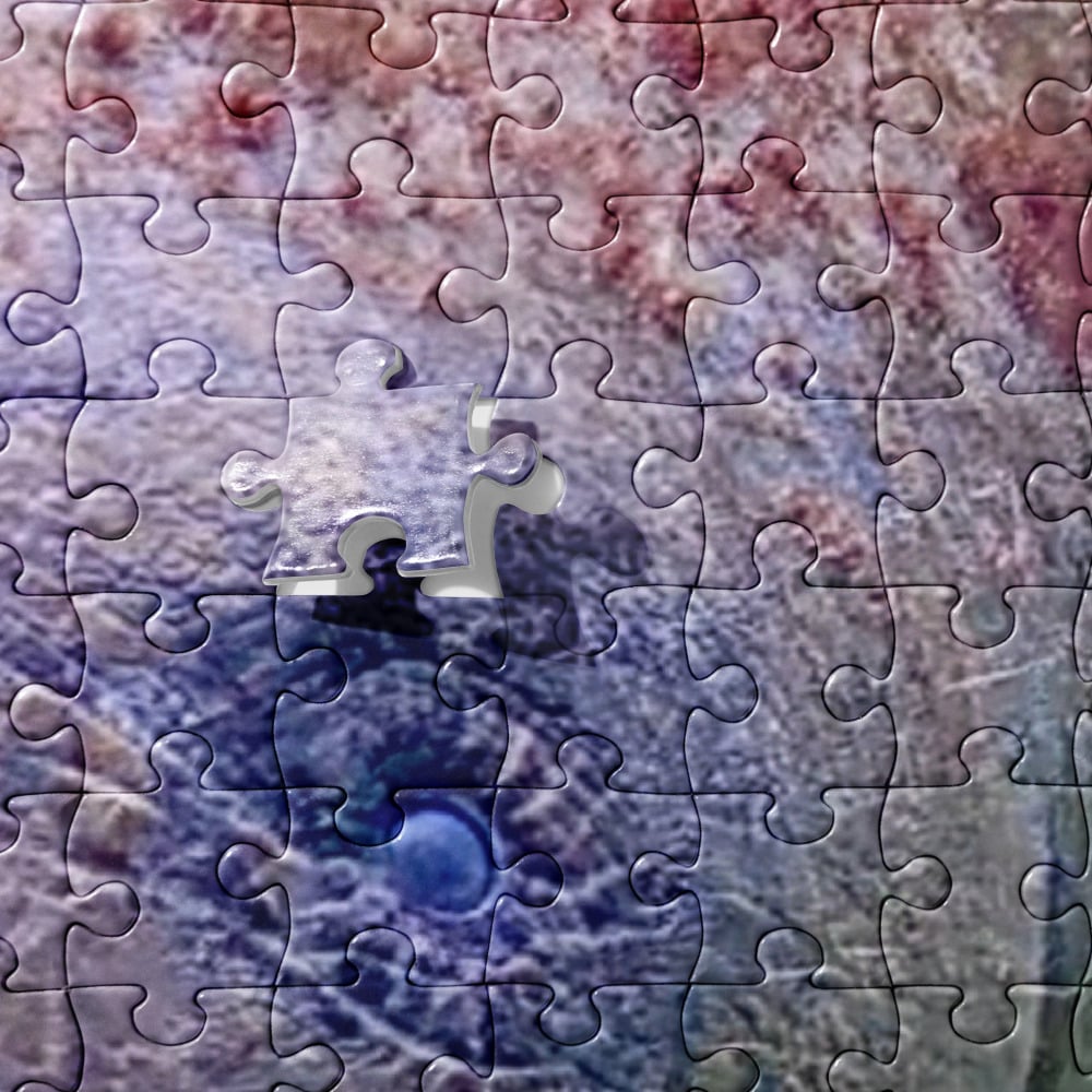 Image of Coral City Camera Manatee Puzzle