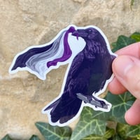 Image 1 of Ace Raven Sticker