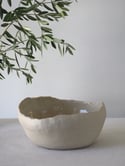 GOLD TRIMMED organic bowl