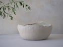 GOLD TRIMMED organic bowl