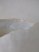 GOLD TRIMMED organic bowl