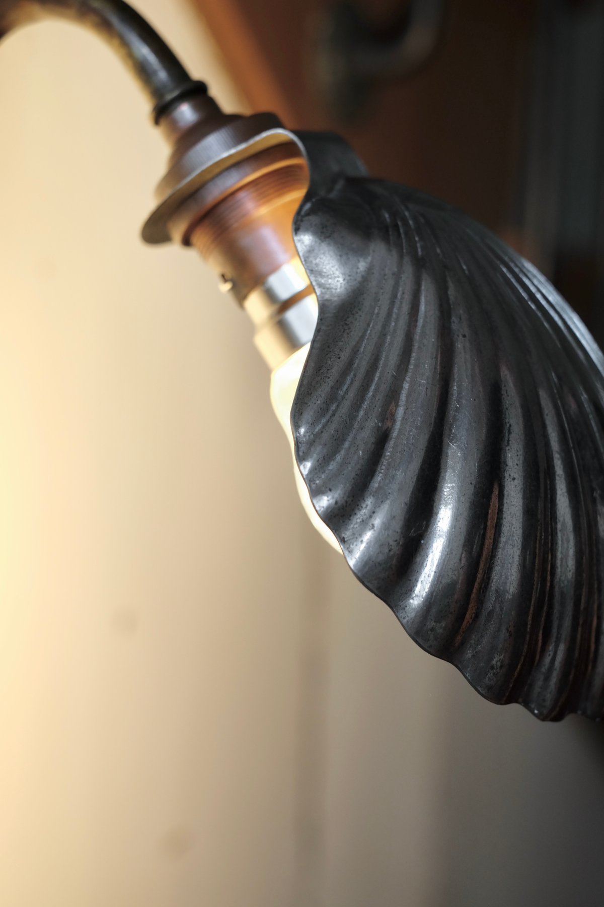 Image of Applique col de cygne et son cache ampoule forme coquille
