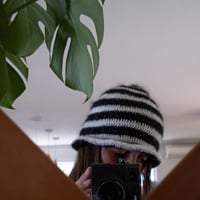 Image 2 of zebra hat