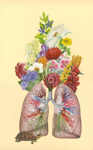 Image of Breath of Life - limited edition print