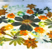 Image 1 of Eco Printing Magic