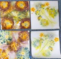 Image 2 of Eco Printing Magic