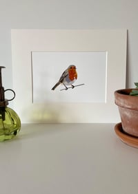 Image 2 of Robin
