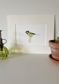 Image 2 of Great Tit