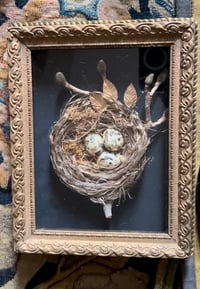 Image 3 of Cadre vitrine ancien et son nid ( homemade) avec des petits œufs aux éclats de feuilles d’or 