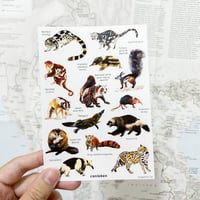 Small mammals of the world sticker sheet (Glossy)