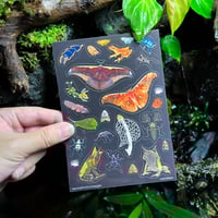 Forest critters sticker sheet (Glossy)