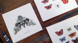 5 cartes lepidopteres